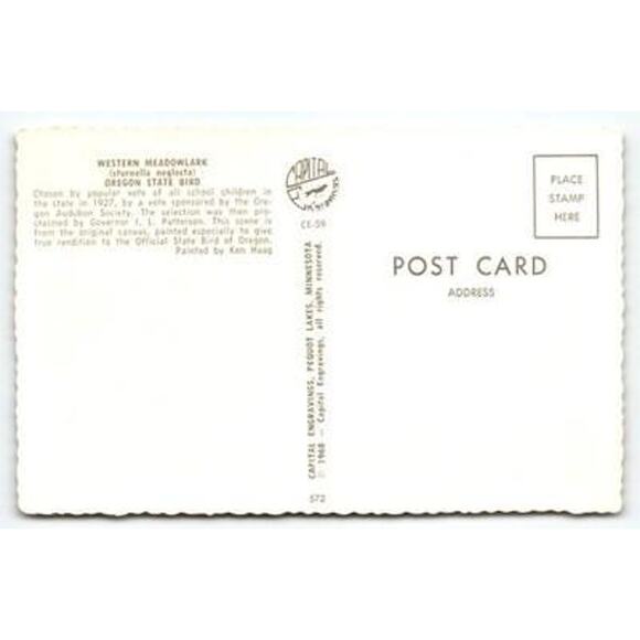 Vintage 1968 Oregon State Bird Western Meadowlark Postcard Signed Ken Haag - Picture 2 of 2